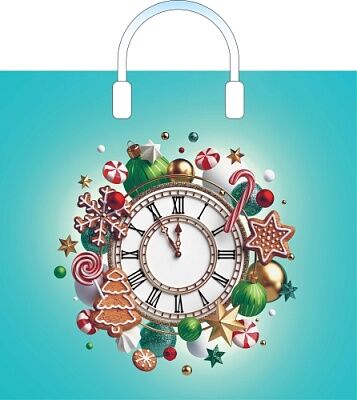 Пакет ПЭ с пластмассовыми ручками 38х34+3 (10) (Пять минут)