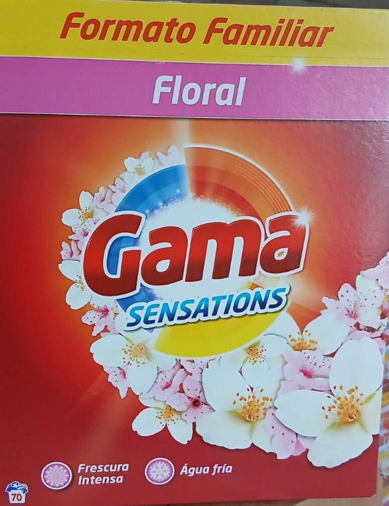 Порошок для стирки универсальный GAMA 3в1 Floral, картон, 4,55 кг, 70 стирок